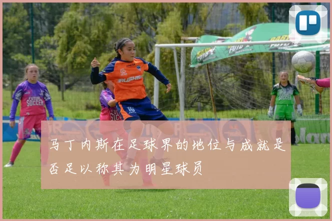 马丁内斯在足球界的地位与成就是否足以称其为明星球员