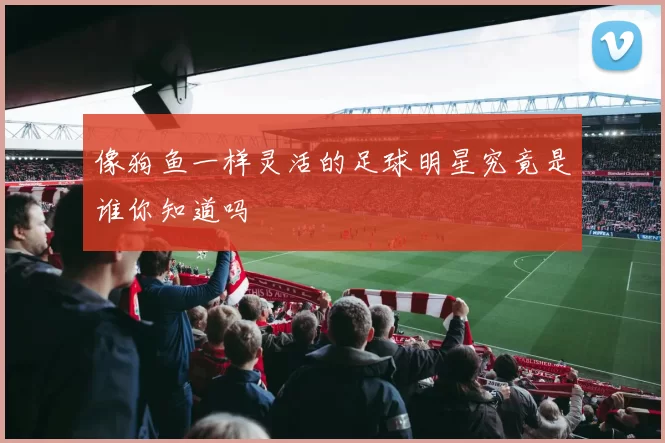 像狗鱼一样灵活的足球明星究竟是谁你知道吗