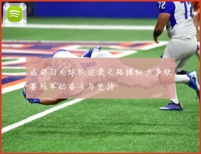 成都羽毛球队逆袭之路揭秘力争联赛冠军的奋斗与坚持