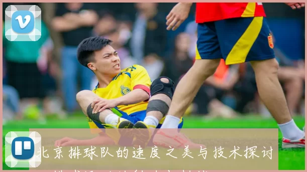 北京排球队的速度之美与技术探讨：排球运动的魅力与挑战
