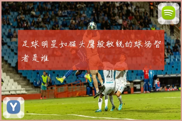 足球明星如猫头鹰般敏锐的球场智者是谁