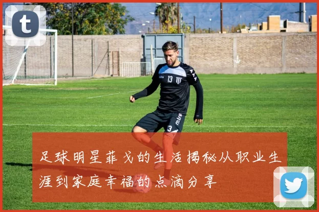 足球明星菲戈的生活揭秘从职业生涯到家庭幸福的点滴分享