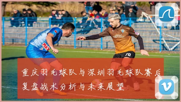 重庆羽毛球队与深圳羽毛球队赛后复盘战术分析与未来展望