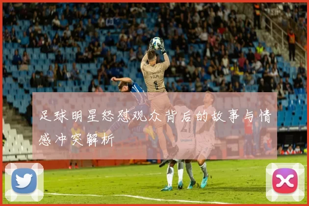 足球明星怒怼观众背后的故事与情感冲突解析