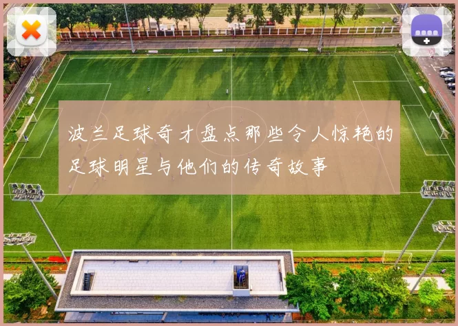 波兰足球奇才盘点那些令人惊艳的足球明星与他们的传奇故事