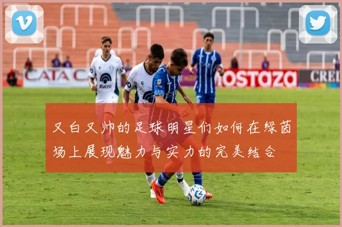 又白又帅的足球明星们如何在绿茵场上展现魅力与实力的完美结合